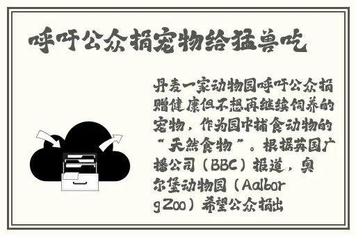 17.c-起草破解